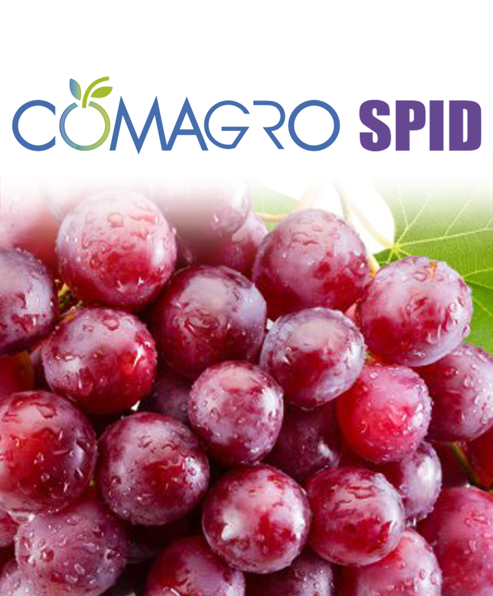 COMAGRO-SPID COD: BM-009